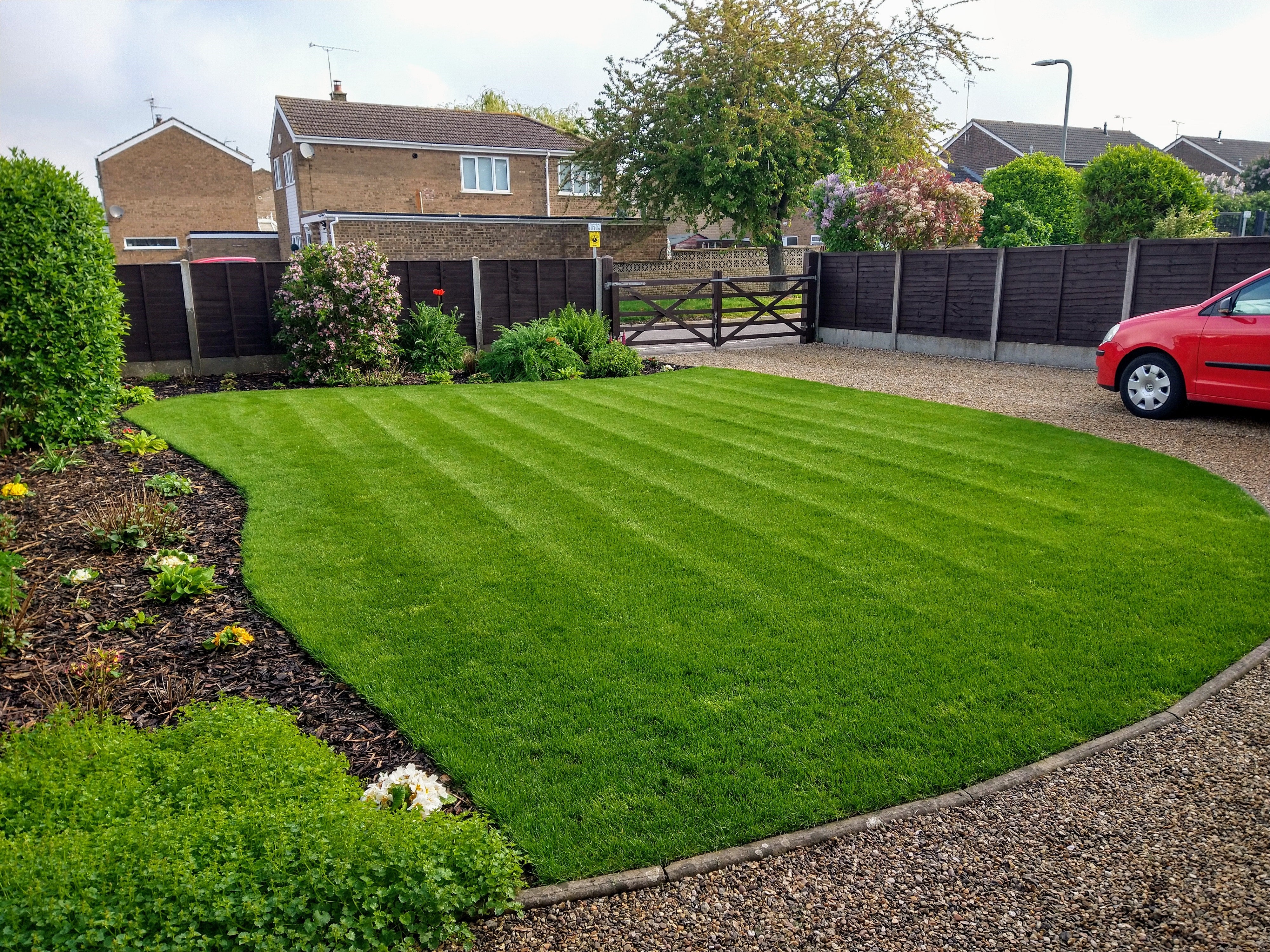 Fairy Rings in the Lawn and How to Manage Them - Nature's Select