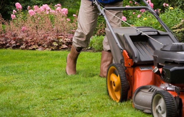 mowing lawn, mowing grass, lawn mowing, grass mower