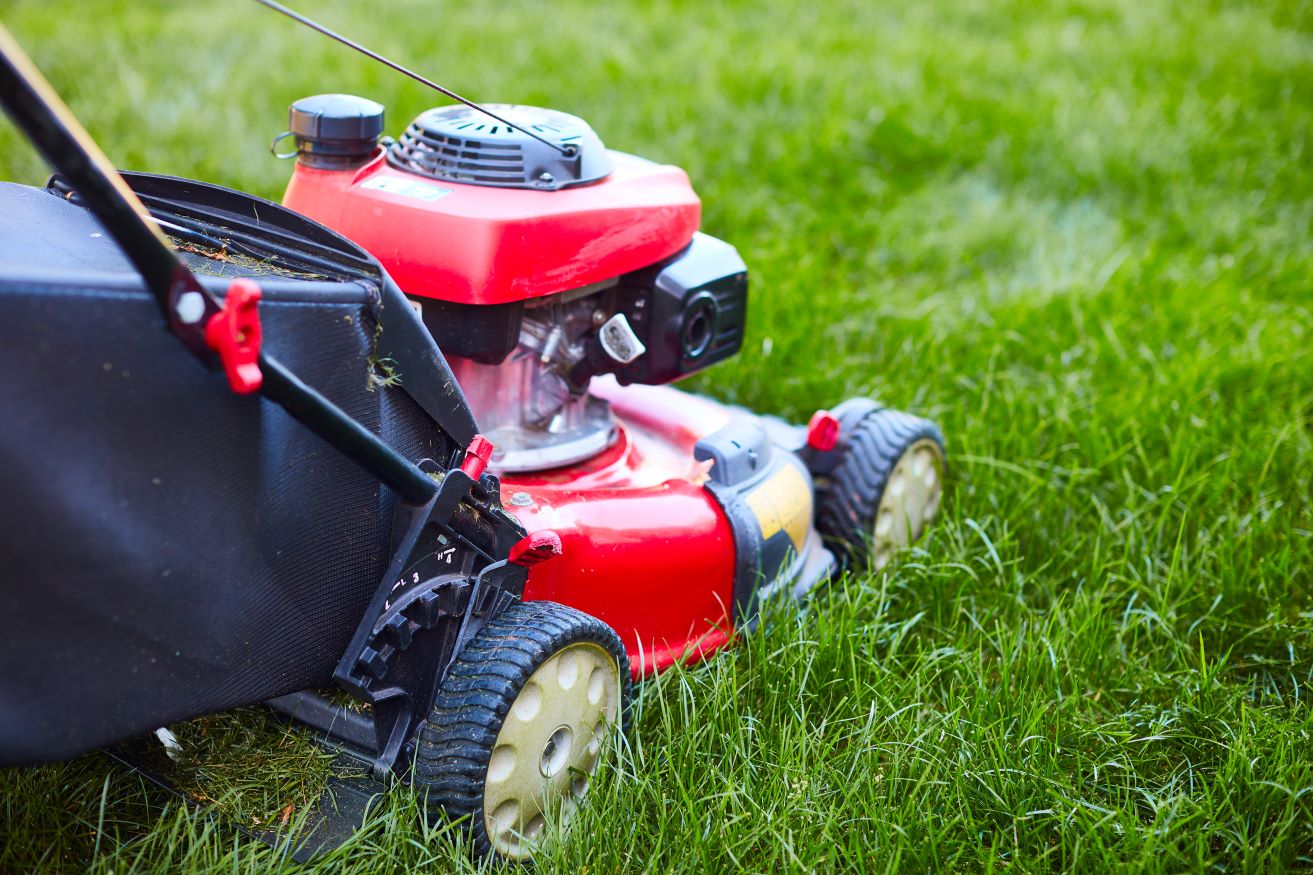 How to Clean a Lawn Mower Effectively – GreenThumb