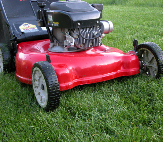 Rotary vs Cylinder Mower: Which is Best for Your Lawn?