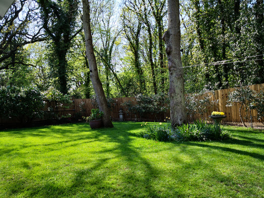 Winterise Your Lawn: Essential Tips for a Healthy Turf